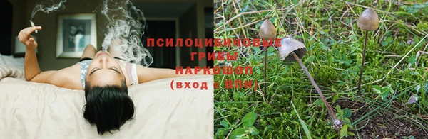 бошки Нефтегорск