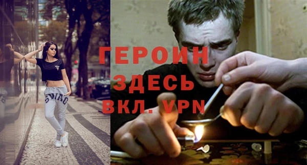 дурь Алексин