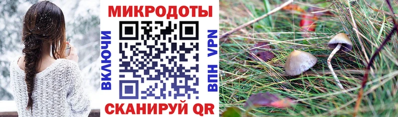 hydra ссылки  Андреаполь  Псилоцибиновые грибы Psilocybine cubensis  наркошоп 