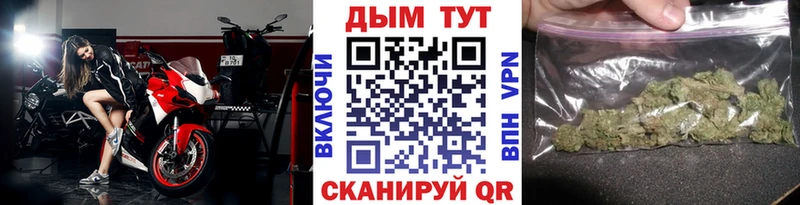 Бошки Шишки гибрид Андреаполь